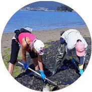 pechetourisme-galice.fr excursions avec cueilleurs de coquillages à Redondela