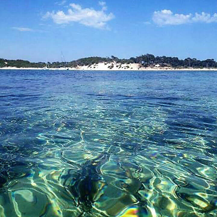 www.pescaturismomallorca.com excursiones en barco isla Moltona Mallorca