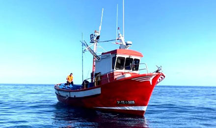 www.pescaturismocanarias.com/fr/iles-canaries excursions en bateau sur l'île de La Palma depuis Tazacorte