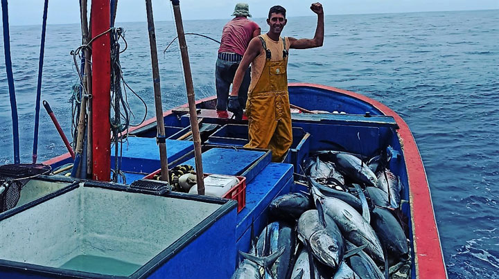 www.pescaturismocanarias.com/fr/iles-canaries Excursions pour la pêche au thon sur l'île de La Palma