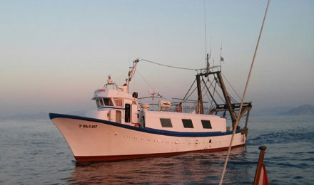 pescaturismomallorca.com excursiones en barco en Mallorca con Domingo