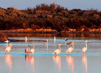 pechetourisme-espagne.fr excursions pêche à San Pedro