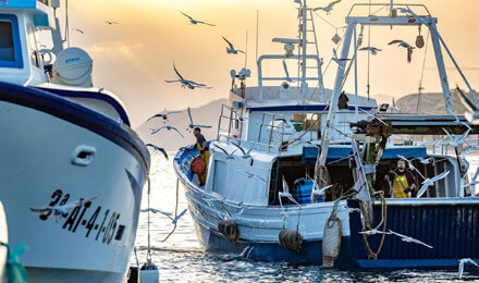 pechetourisme-espagne.fr Villajoyosa: visite du port